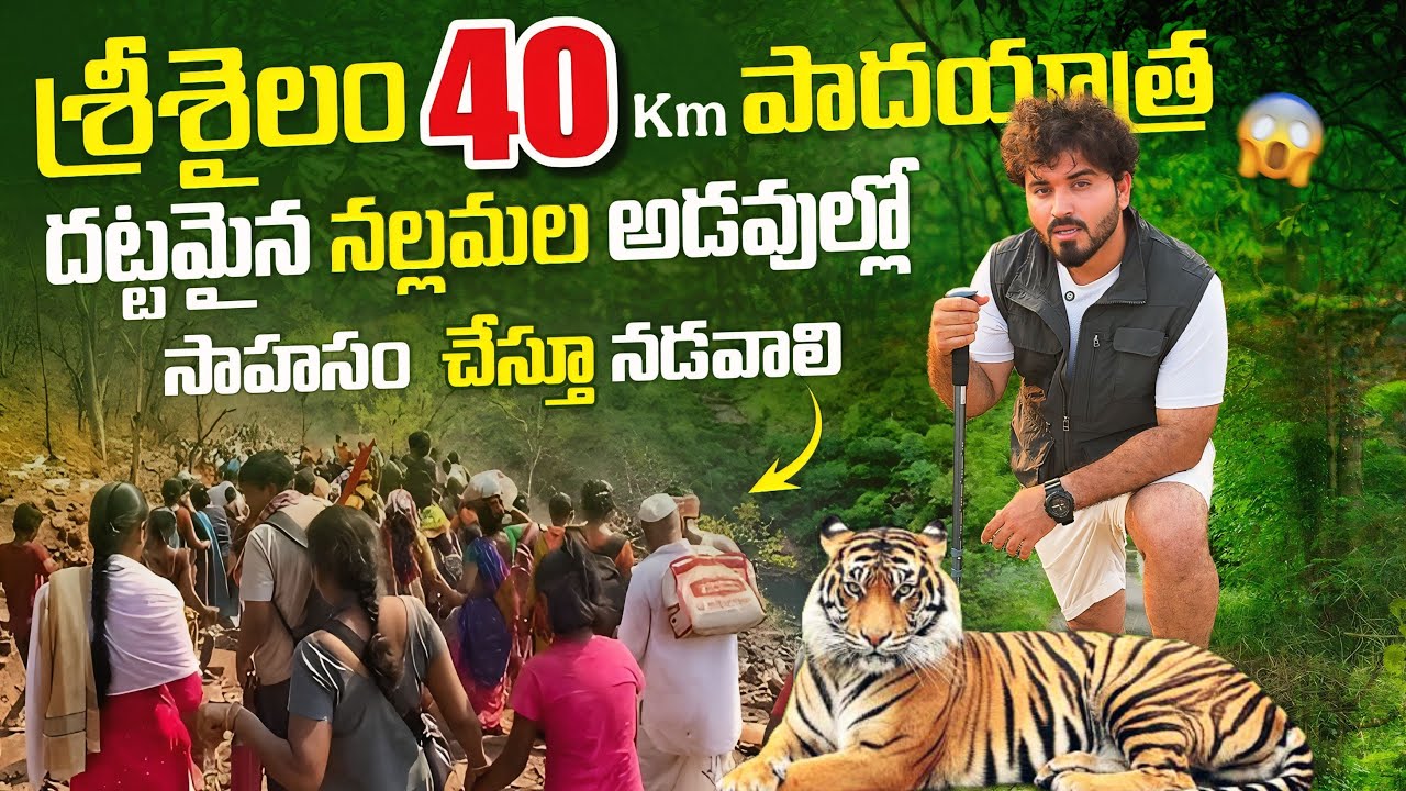 శ్రీశైలం పాదయాత్ర 2025 | Venkatapuram to Sri Sailam | Nallamala Forest Full Details