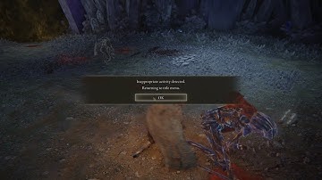 Inappropriate Activity Detected. - Elden Ring