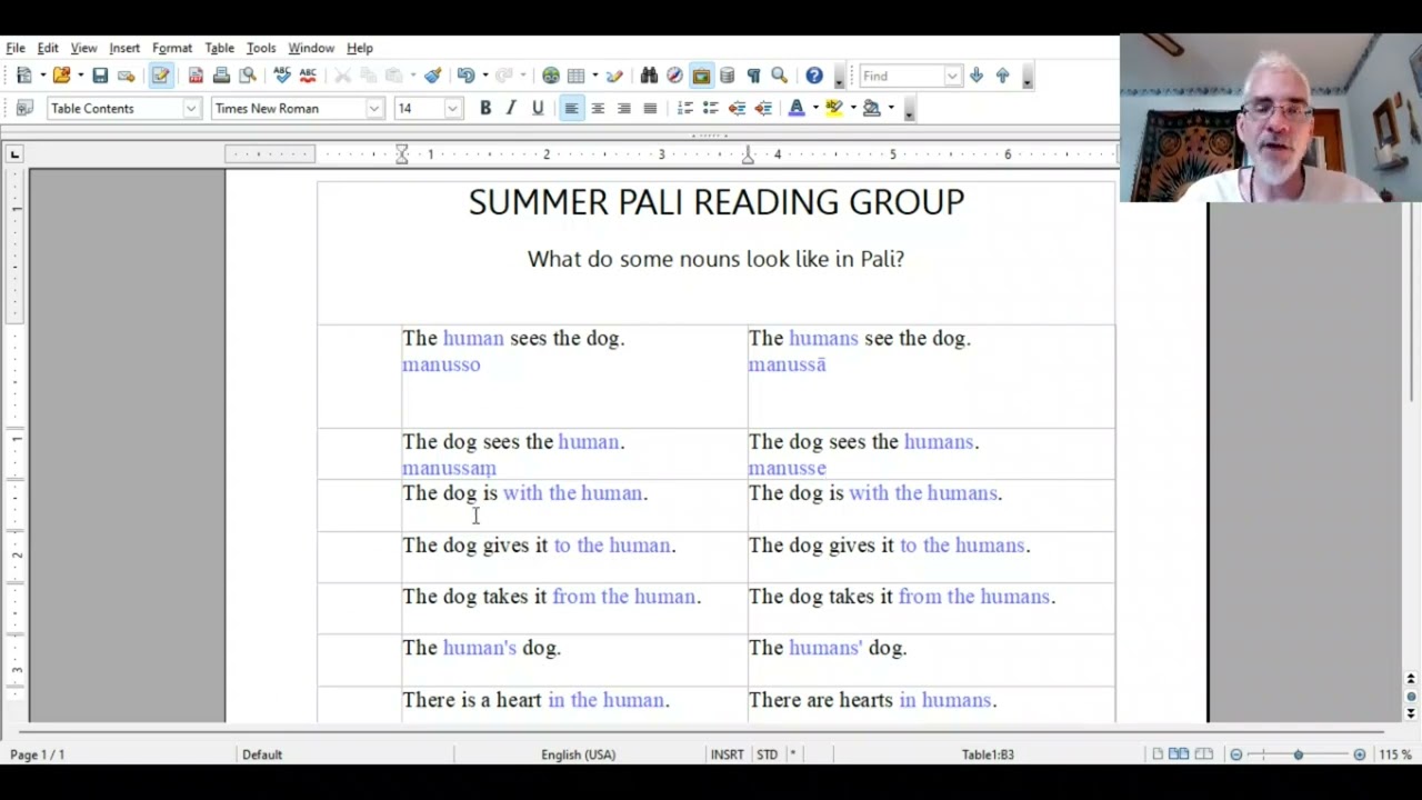 Super Simple Overview of Nouns in Pali
