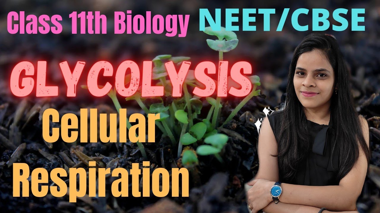Glycolysis | Cellular Respiration |Glycolytic Pathway |#BiologyAchievers