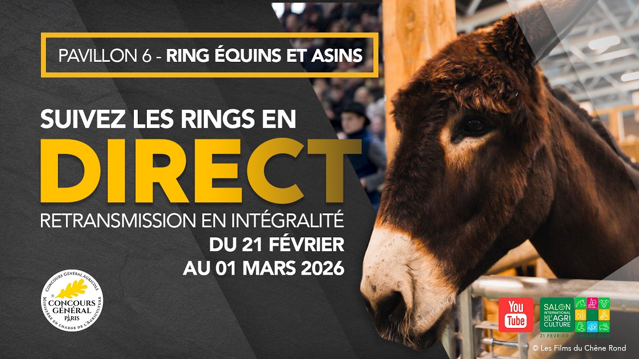 Ring Equins et Asins 24/02/2026 @salonagriculture