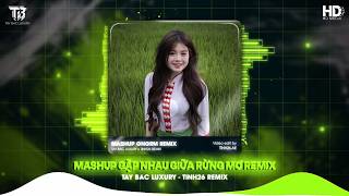MASHUP GẶP NHAU GIỮA RỪNG MƠ REMIX x TÌNH CA TÂY BẮC REMIX - LK NHẠC TÂY BẮC REMIX HOT TIKTOK 2026