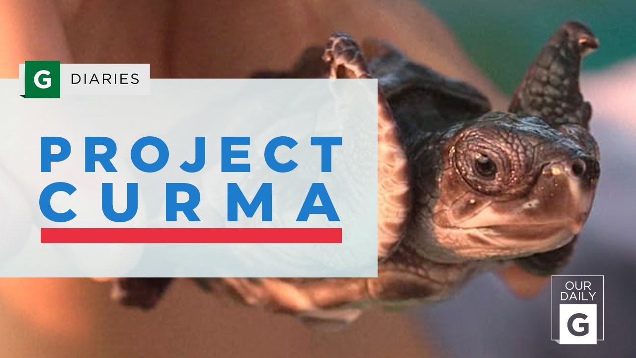 World Changers: Project Curma