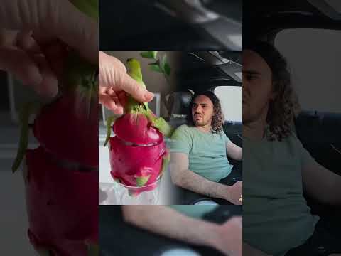      إل حسامو فايب مسلية أداء ارتباط بوف هزلي فيديو