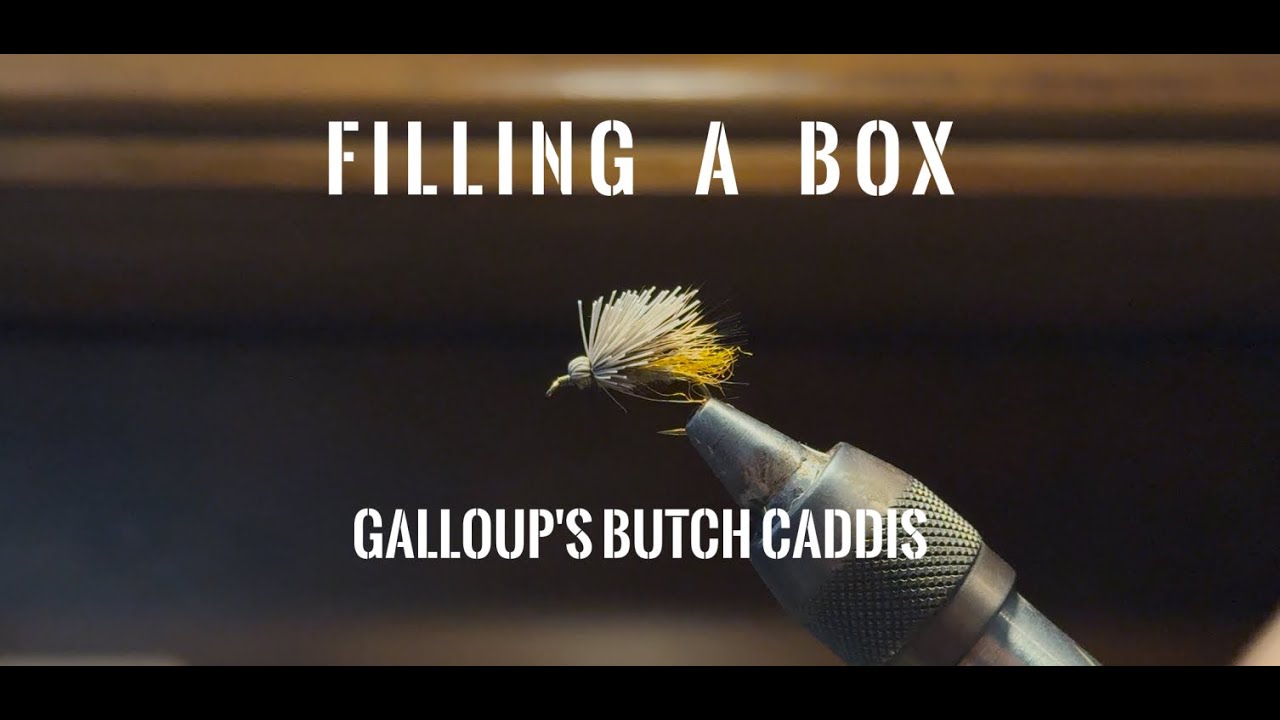 Fly Tying Friday Ep. 4 - Filling a Box - Galloup’s Butch Caddis