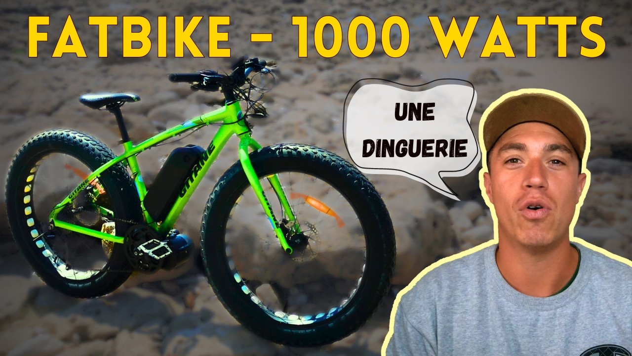 Boîte De Contrôleur Ebike 1000W - Kit De Conversion Vélo Électrique Avec Accessoires