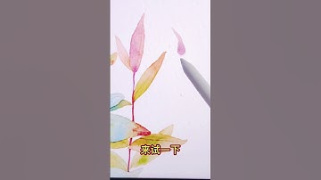 一个设置搞定渐变混色笔刷！超级好用！赶紧收藏起来吧！！❤️#procreate #插画