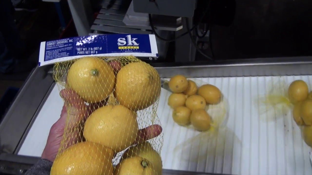 Volmpack MD16 High Speed Weigher w/2 Carousel Baggers