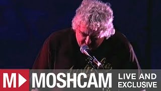 Daniel Johnston - Hey Joe | Live in Sydney | Moshcam