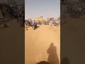 مستريح السيارات البصالية اسوان