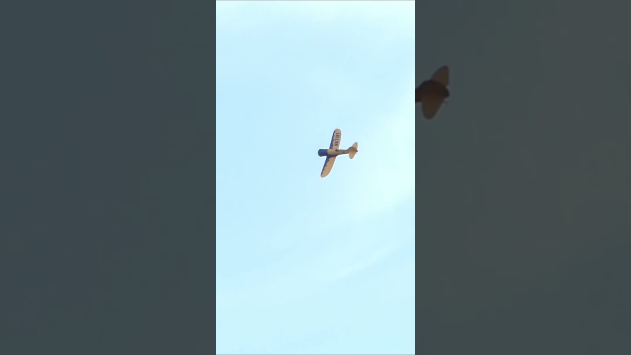 Maiden Flight Of The Gee Bee 84 Inch!   