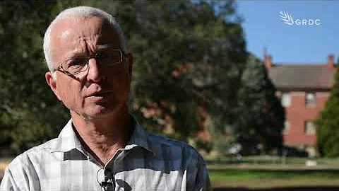 Boosting on farm nitrogen fixation in pulses | Pulse inoculation and fungicide use