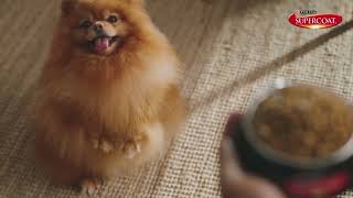 SUPERCOAT for Small Breed Dogs - Healthy Digestion