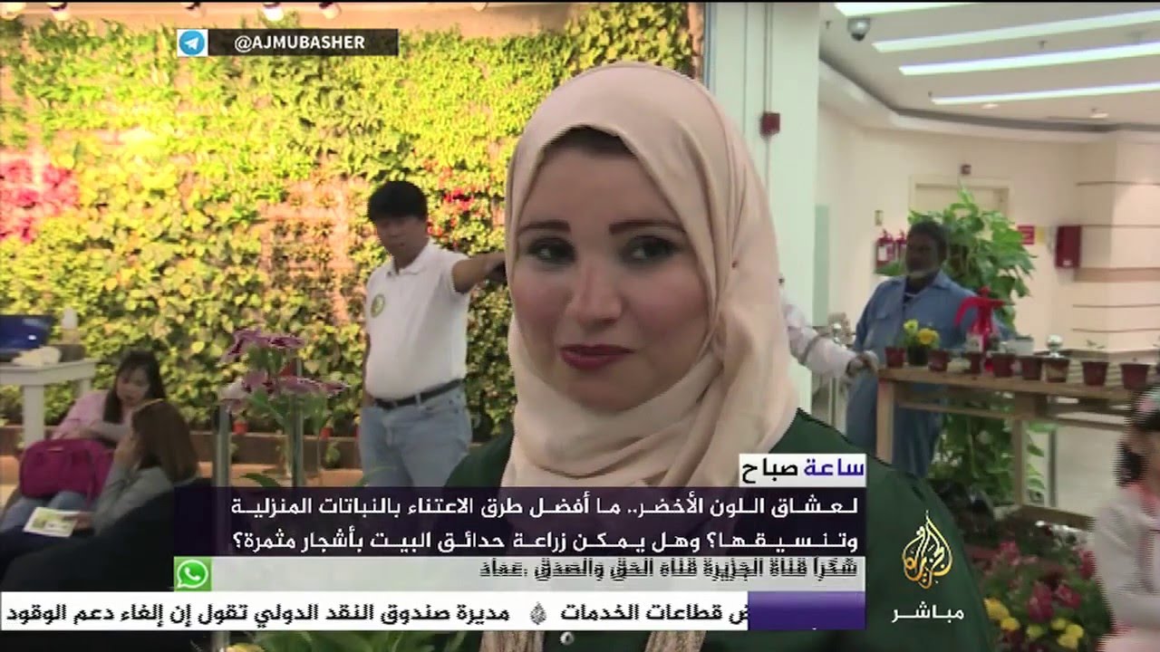 ساعة صباح .. طرق العناية بالنباتات المنزلية
