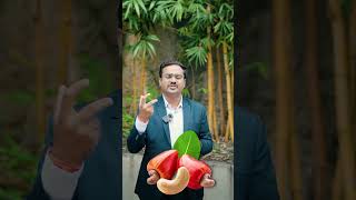 Zero to Exporter: Kaju Export कसा सुरू करायचा – Complete Breakdown! #shorts