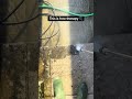 #pressurewashing