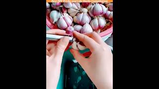 #secrethacks #easyhacks #facts #foryou #smartguide #lifehacks #hacks #diy #hacks #viral #gadgets