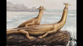 Extinct animals caught on camera part 1 Profile