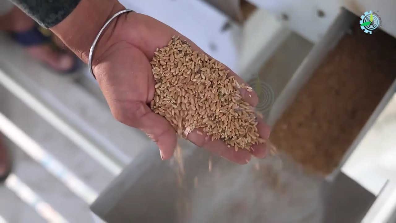 Wheat Sorter Plant | Samay Agrotech Pvt. Ltd. | 4000 kg | Multi Purpose Sortex | Cutting-Edge Tech.