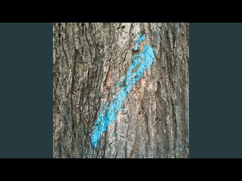 Watch Field (Beta) on YouTube Watch Field (Beta) on YouTube