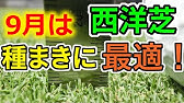 芝生を種から育てる 西洋芝 2週間で発芽 Youtube 芝生を種から育てる 西洋芝 2週間で発芽 Youtube
