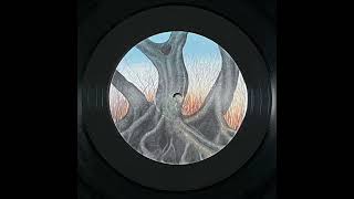 Wisp - A2 Picatrix (vinyl rip)