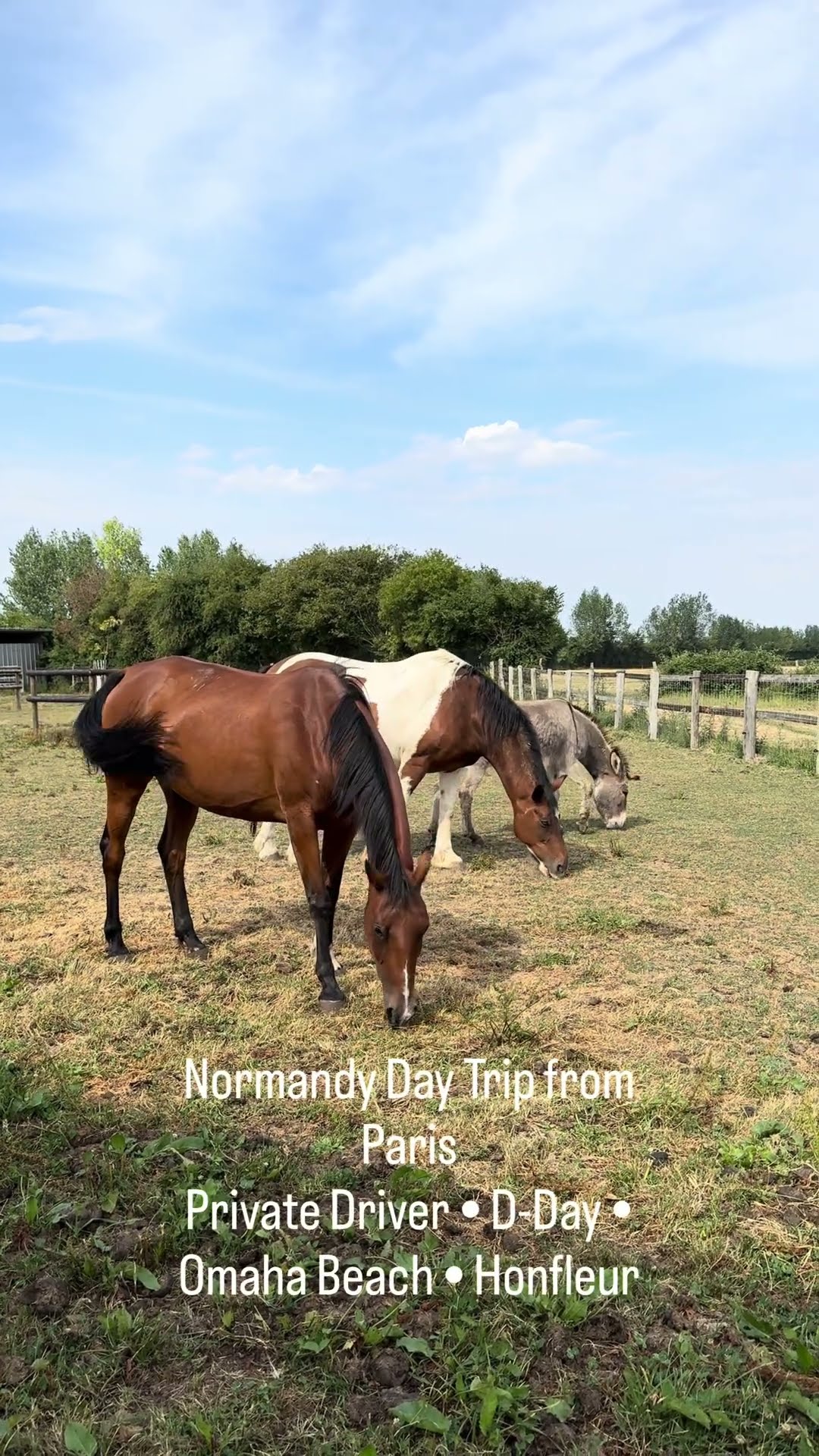 Planning a Normandy Day Trip from Paris? 🇫🇷
