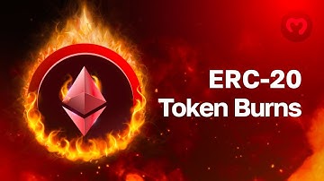 Get ERC20 Token Burns