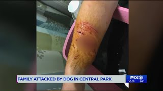 Man Needs 30 Sches After Pit Bull Attack In Central Park