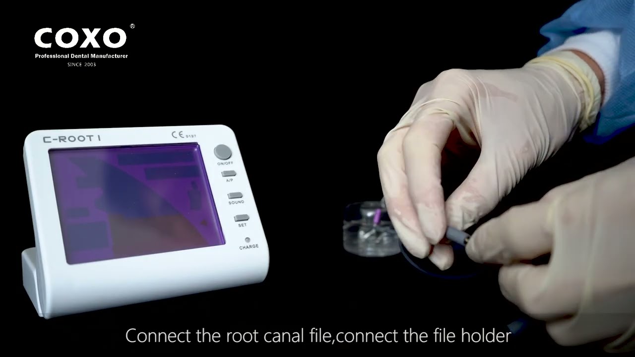 【COXO】C-Root I (VI) Root apex locator Operation Video