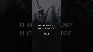 Сура: Юнус Аят: 12 / Чтец: Абдуррахман Масад