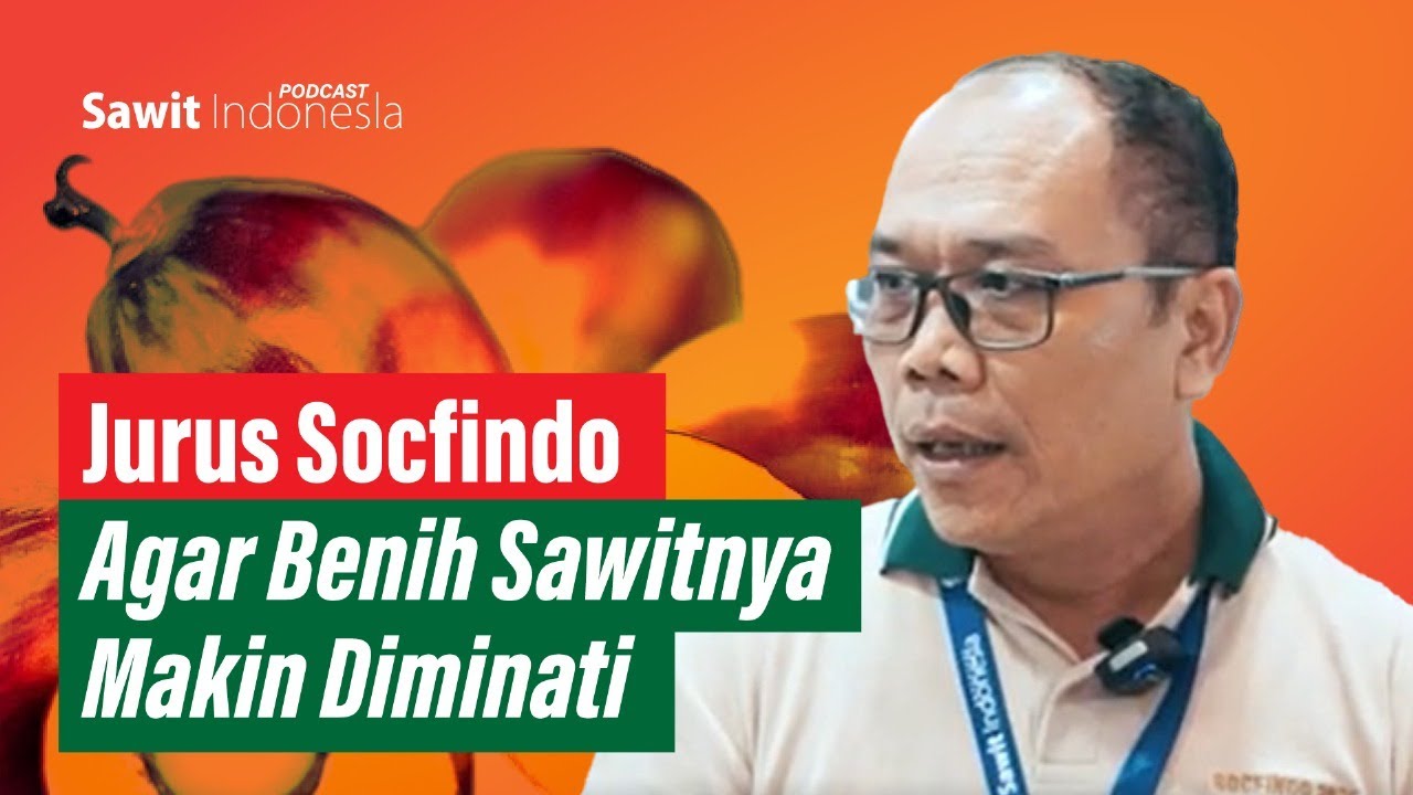 SOCFINDO PIONIR BENIH SAWIT UNGGUL..