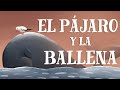 El pjaro y la ballena  the bird and the whale in spanish with english subtitles