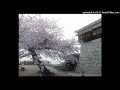 (free) izaya tiji + kuru + slayr type beat (violetnight x hieraleone)