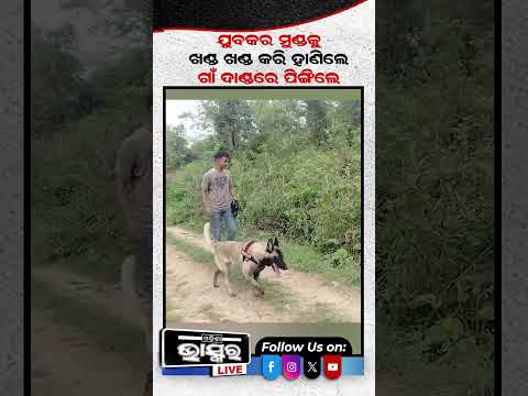 ଯୁବକଙ୍କ ସହ ଏମିତି କରି ବଣରେ ଫିଙ୍ଗିଦେଲେ... #ytshorts #shortsvideo #sonepur #villagers #PoliceCase
