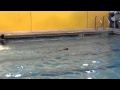 Swim class 3