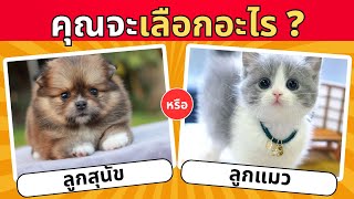 เกมส์คุณจะเลือกอะไร Would You Rather? หมวดสัตว์น่ารัก😻🐈🐇 | Puzzle expensive ปริศนาพาสนุก