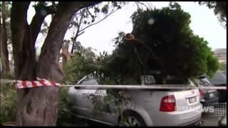 Wild Melbourne Weather - Nine News 24062014