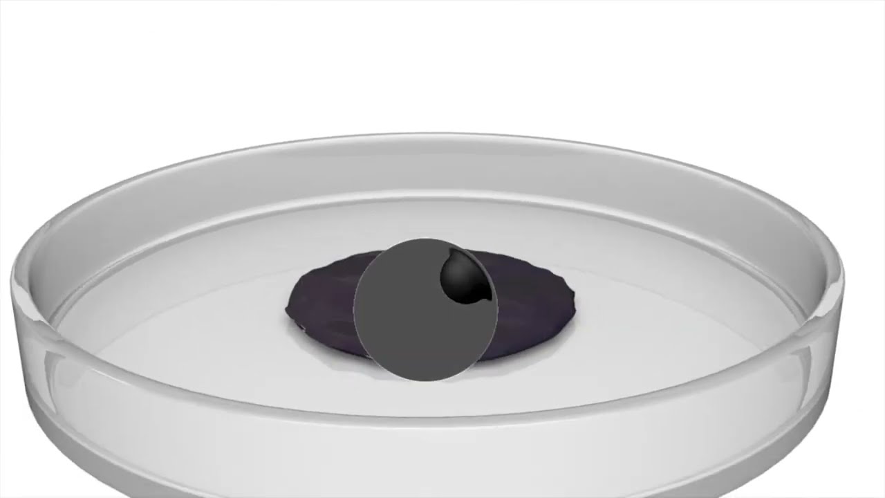 High Performance MR Fluids