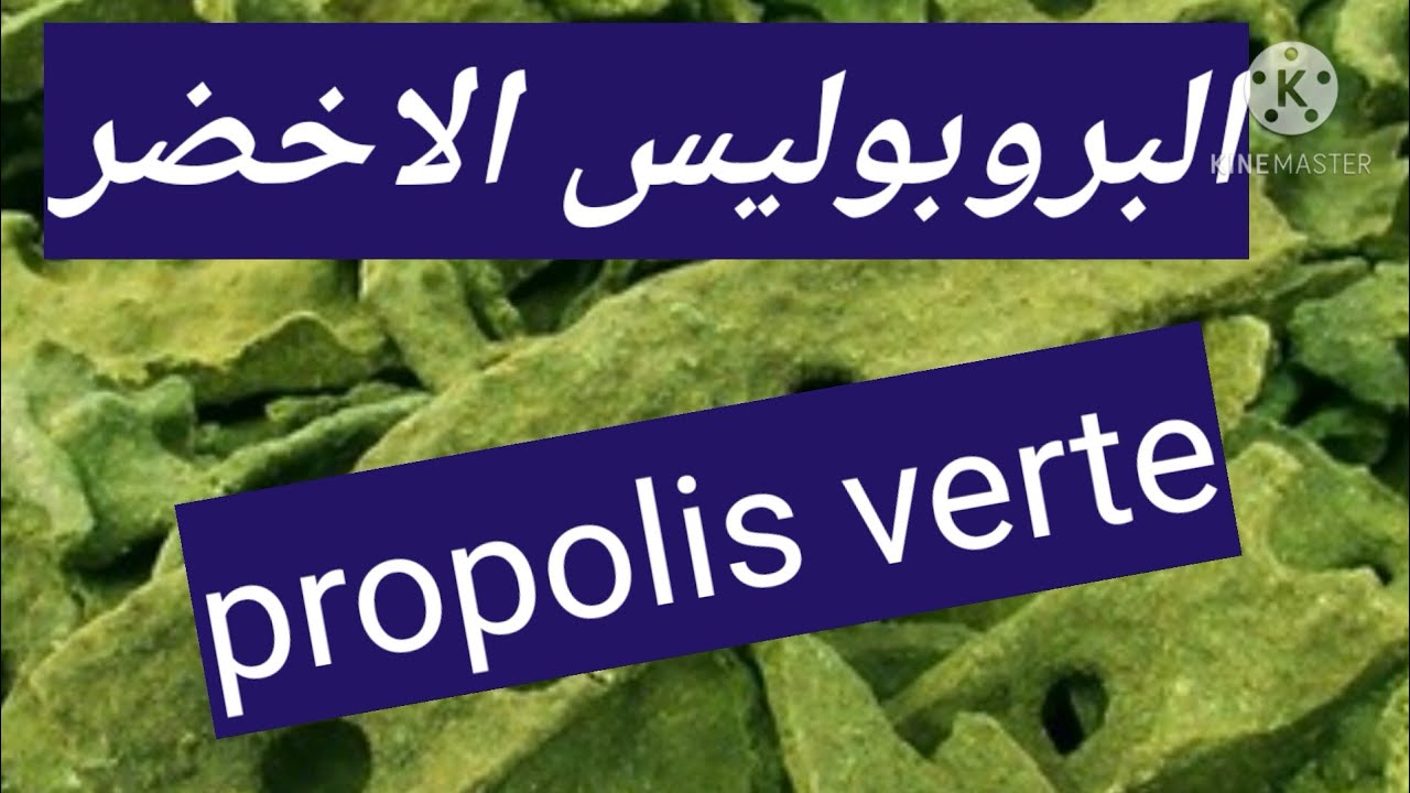 البروبوليس الأخضر  هل يتميز عن نظيره البني والأسود propolis verte green propolis
