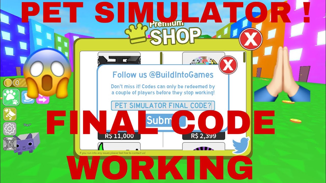 Pet Simulator Code Not Working