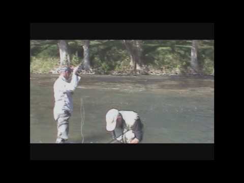 Guadalupe River Trout Fishing