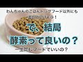 【わんちゃんの食事について思うことVol.2】2021.02.26インスタライブより