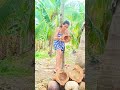 Coconut shelling
