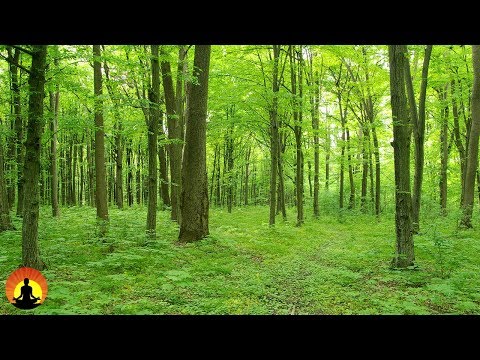 Gyógyító meditációs zene, Pihentető zene, Stresszoldó zene, Békés zene, ☯933