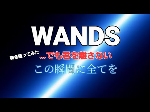 WANDS でも君を離さない