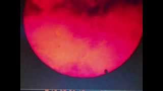 Venus Transit - 05 & 06 Jun 2012 - Condensed & Real Time
