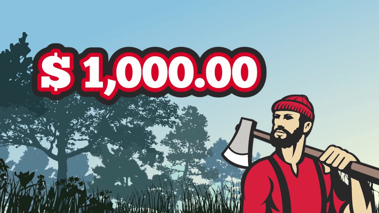 Be A Man Buy Land Florida Recreational Land, Hunting Properties for