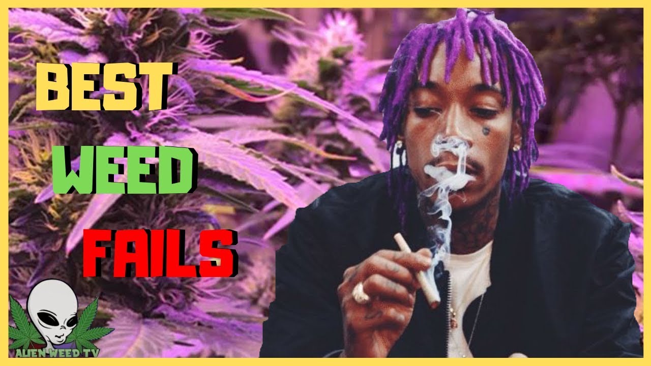 BEST WEED FAILS | Smoking Weed Fails Compilation #3