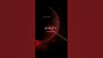 القارئ ياسر الدوسري
